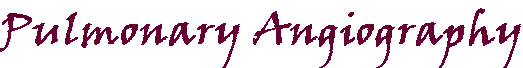 PulmAngiography.gif (2578 bytes)